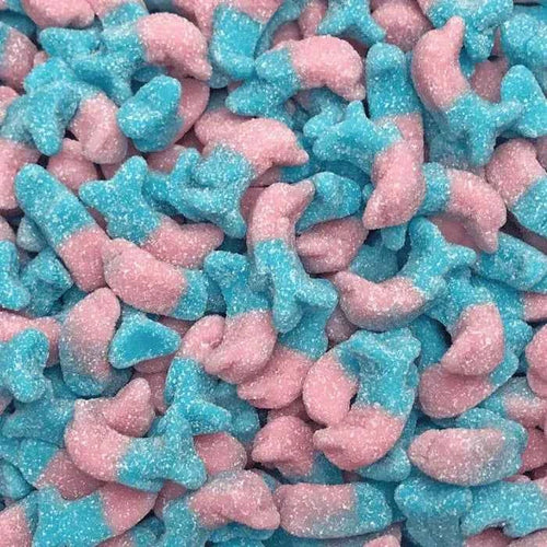 Dauphins Bubblegum - Matthijs