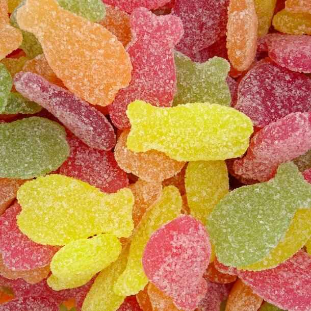 Poissons tropical - Lutti (100g)